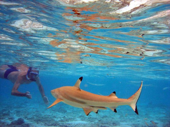 Tahiti, April 2007 — travel photo 5