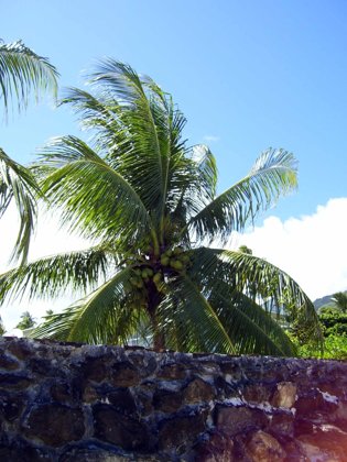 Tahiti, April 2007 — travel photo 11