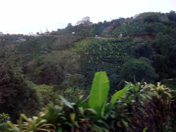 Panama Canal, November 2007 — travel photo 109