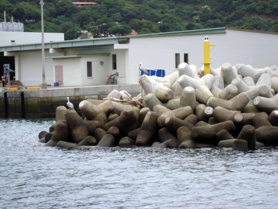 Panama Canal, November 2007 — travel photo 136