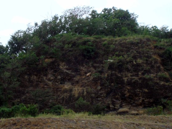 Panama Canal, November 2007 — travel photo 143