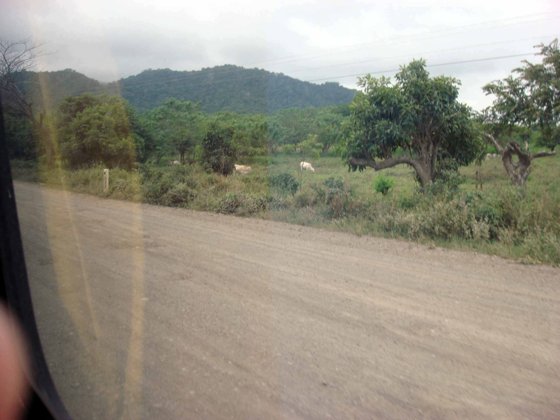 Panama Canal, November 2007 — travel photo 158