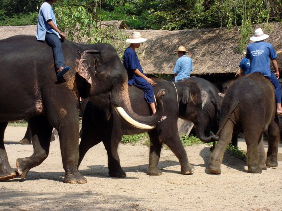 Thailand and Cambodia, October 2008 — travel photo 46