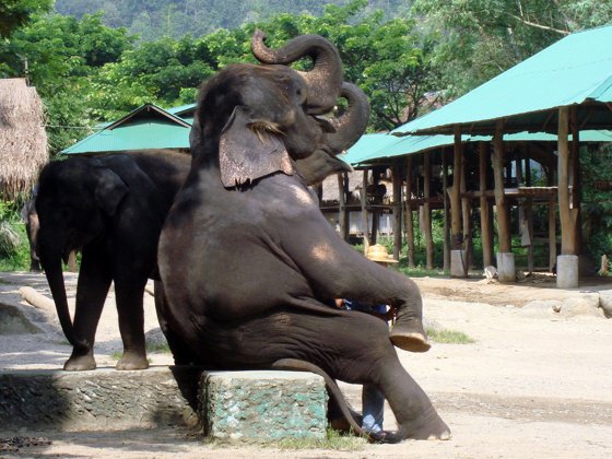 Thailand and Cambodia, October 2008 — travel photo 48
