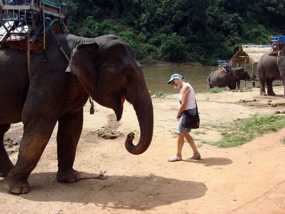 Thailand and Cambodia, October 2008 — travel photo 59