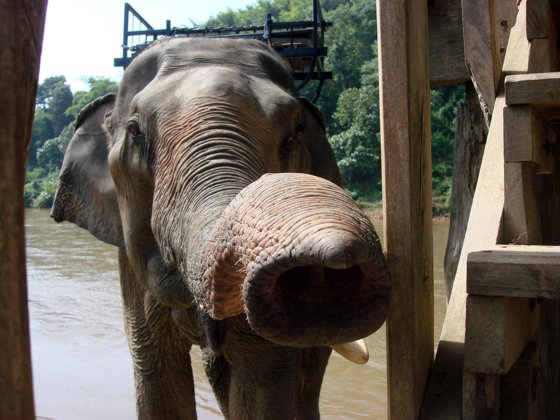 Thailand and Cambodia, October 2008 — travel photo 61