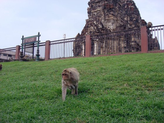 Thailand and Cambodia, October 2008 — travel photo 68