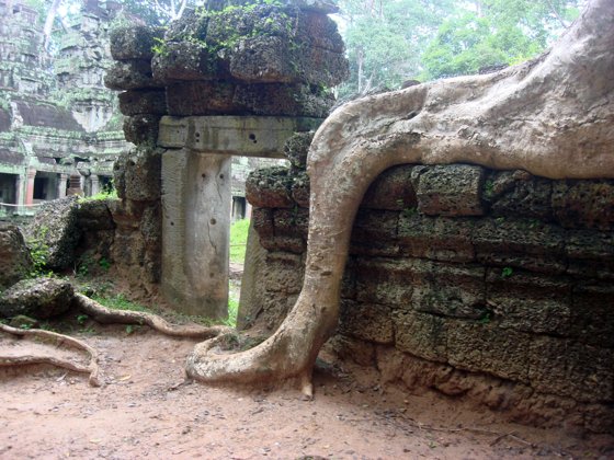 Thailand and Cambodia, October 2008 — travel photo 87