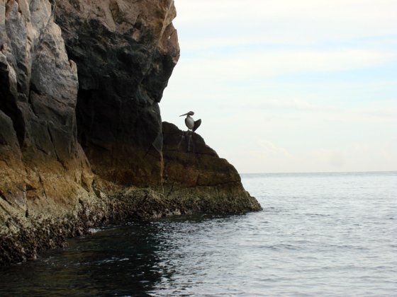 Mexican Riviera, December 2008 — travel photo 37