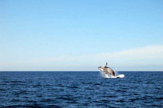 Mexican Riviera, December 2008 — travel photo 60
