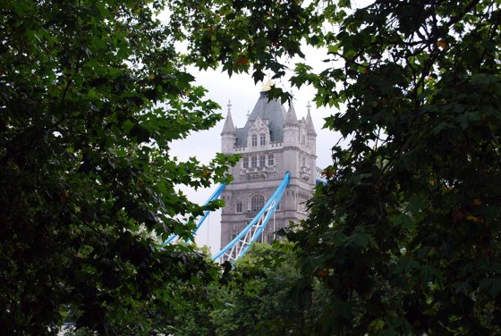 Africa and London, September 2010 — travel photo 19