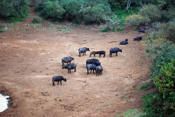 Africa and London, September 2010 — travel photo 28