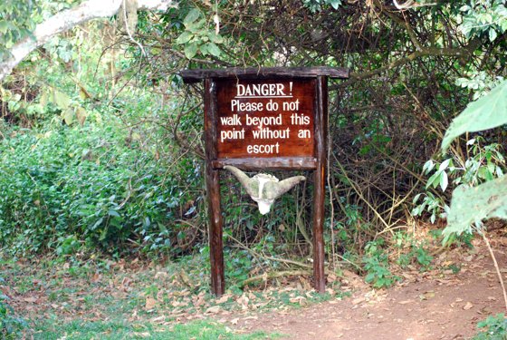 Africa and London, September 2010 — travel photo 34