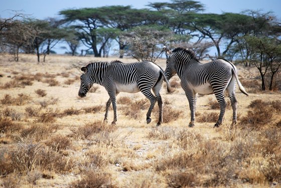 Africa and London, September 2010 — travel photo 48