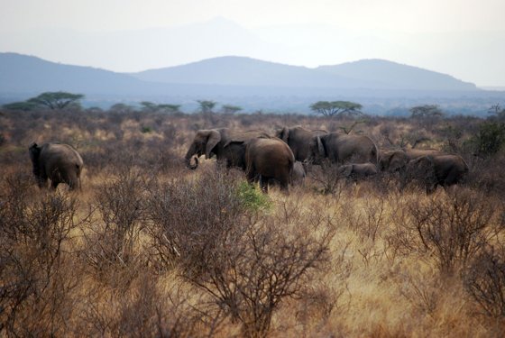 Africa and London, September 2010 — travel photo 54