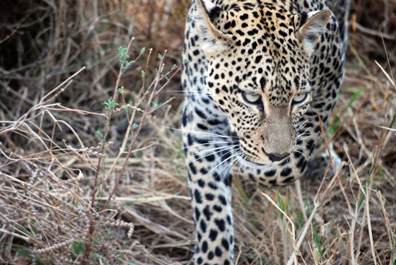 Africa and London, September 2010 — travel photo 83
