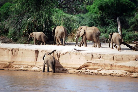 Africa and London, September 2010 — travel photo 88