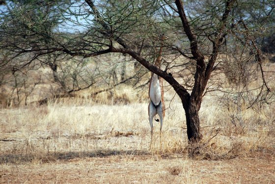 Africa and London, September 2010 — travel photo 90
