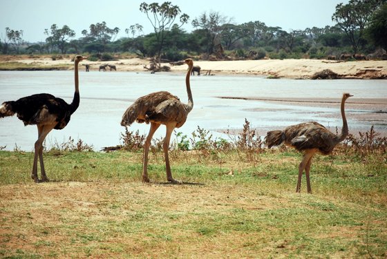 Africa and London, September 2010 — travel photo 97
