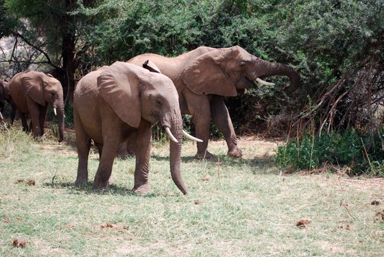 Africa and London, September 2010 — travel photo 98