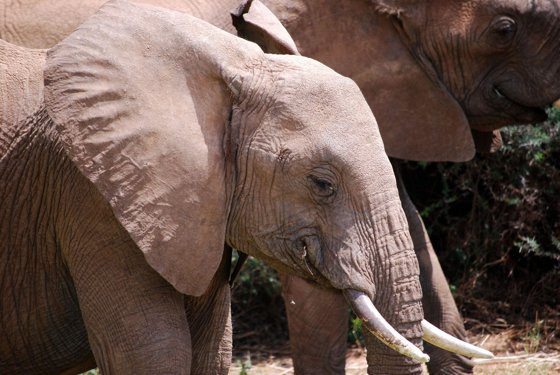 Africa and London, September 2010 — travel photo 99
