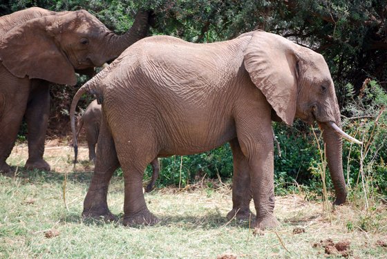 Africa and London, September 2010 — travel photo 101