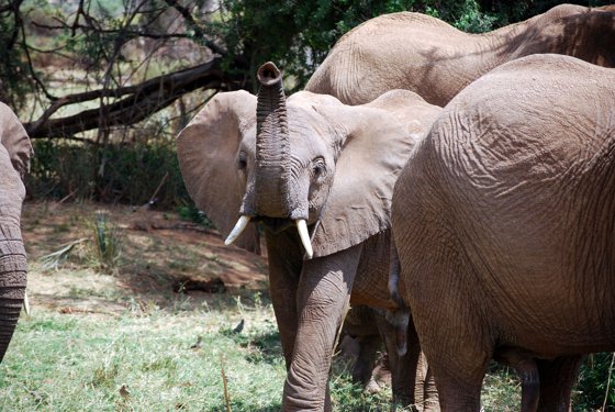 Africa and London, September 2010 — travel photo 102
