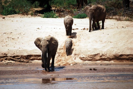 Africa and London, September 2010 — travel photo 105