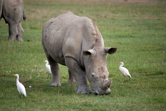 Africa and London, September 2010 — travel photo 154