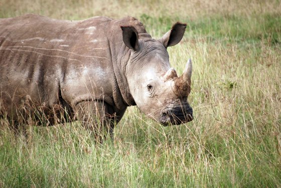 Africa and London, September 2010 — travel photo 156