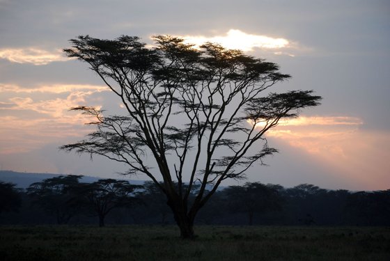 Africa and London, September 2010 — travel photo 158