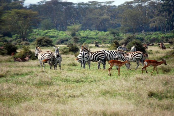 Africa and London, September 2010 — travel photo 172
