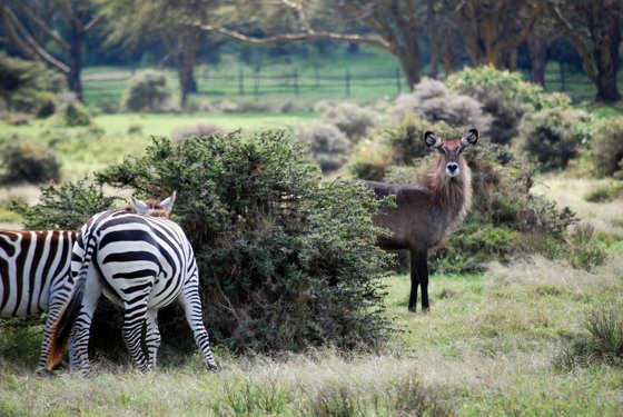 Africa and London, September 2010 — travel photo 175