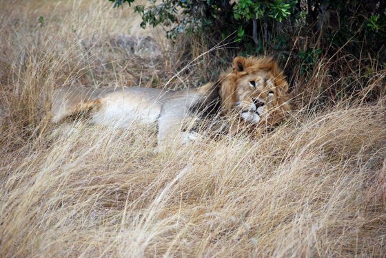 Africa and London, September 2010 — travel photo 187