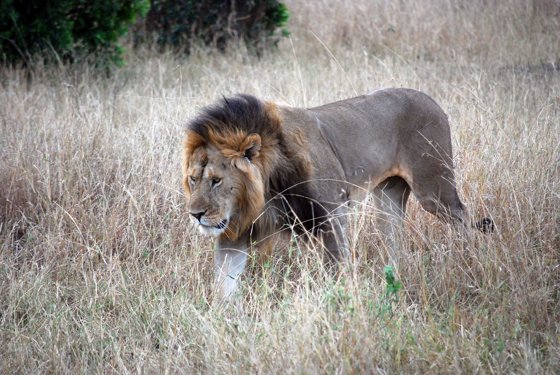 Africa and London, September 2010 — travel photo 189