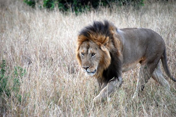 Africa and London, September 2010 — travel photo 190