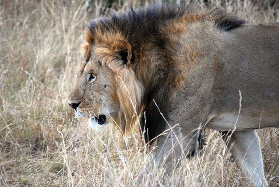 Africa and London, September 2010 — travel photo 191