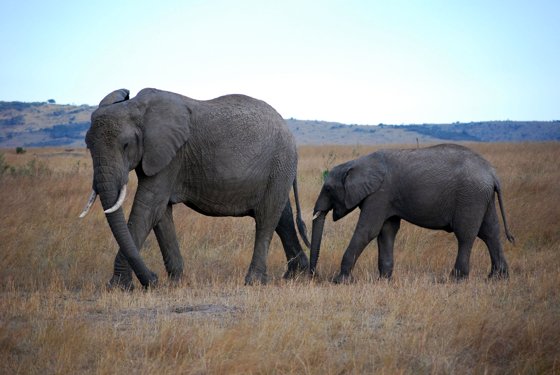 Africa and London, September 2010 — travel photo 193