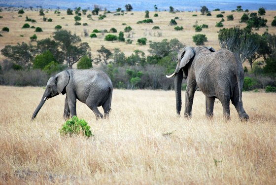 Africa and London, September 2010 — travel photo 195