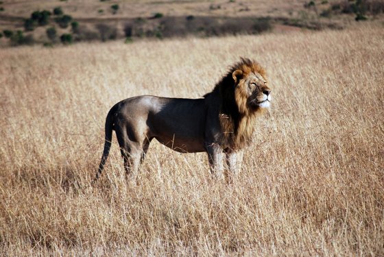 Africa and London, September 2010 — travel photo 199