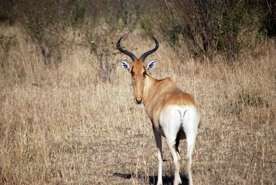 Africa and London, September 2010 — travel photo 200