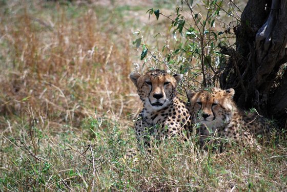 Africa and London, September 2010 — travel photo 214