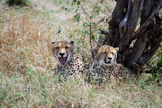 Africa and London, September 2010 — travel photo 215