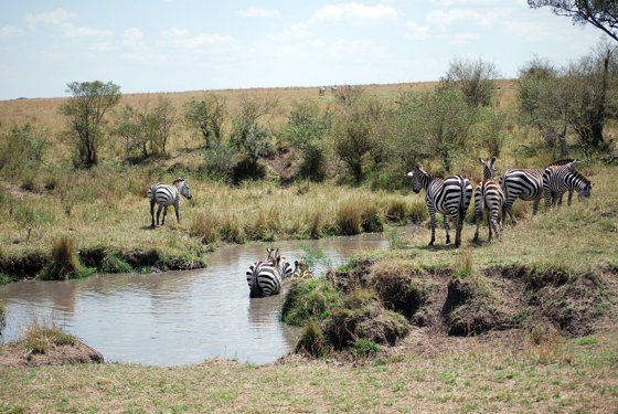 Africa and London, September 2010 — travel photo 216
