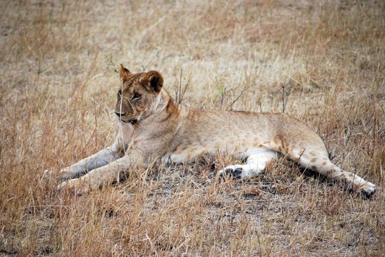 Africa and London, September 2010 — travel photo 243