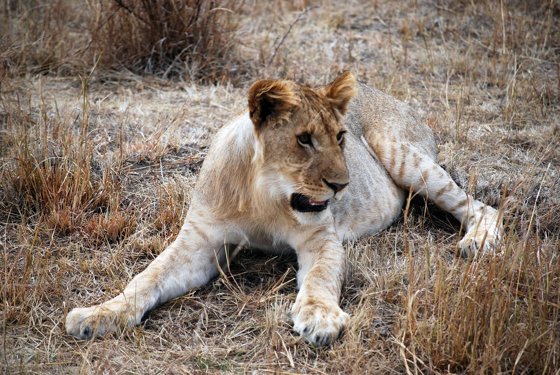 Africa and London, September 2010 — travel photo 244