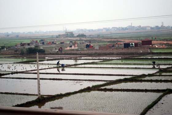 Vietnam–Thailand, March 2011 — travel photo 70