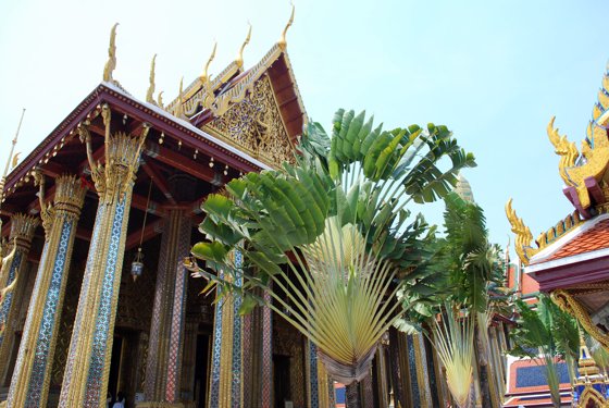 Vietnam–Thailand, March 2011 — travel photo 112