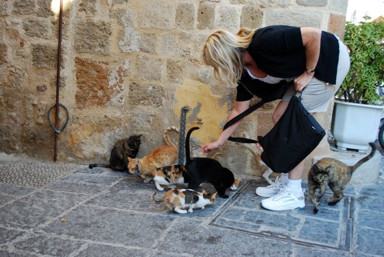 Greece, November 2011 — travel photo 97