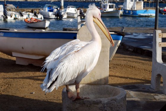 Greece, November 2011 — travel photo 133